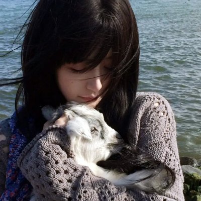 猛虎嗅蔷薇之龙凤大盗
