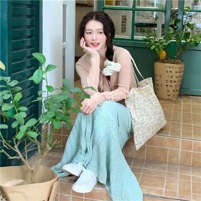 职业特工队